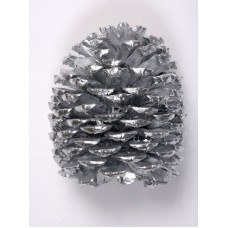 JEFFREY PINE CONE 5"-7" (STAKED) SILVER